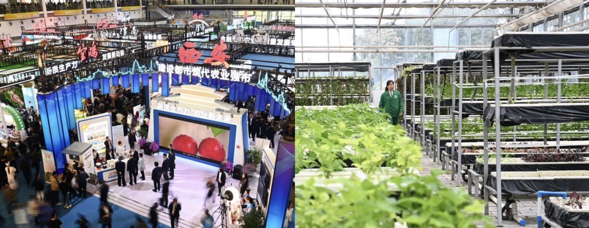 [AsiaNet] 양링에서 농업 기술 협력 촉진 위한 농업 하이테크 박람회 개막