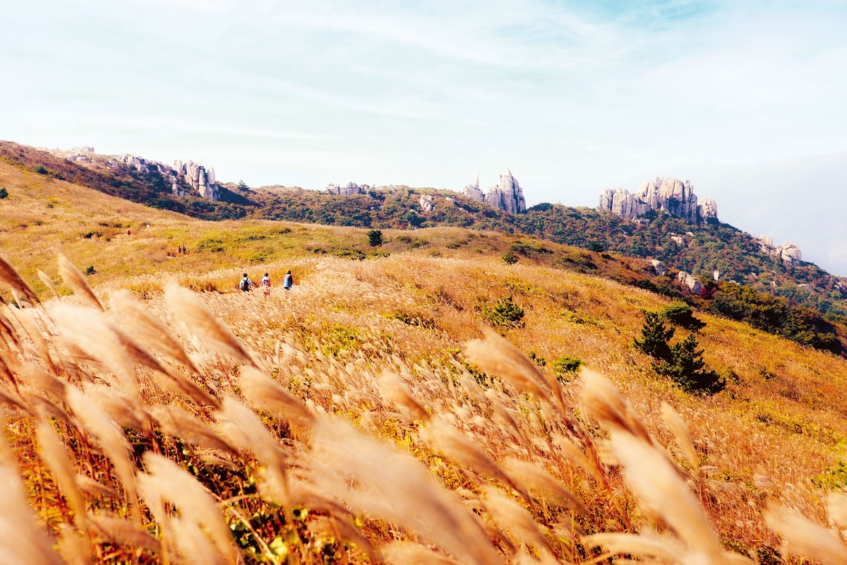 전남서 낭만 가득한 추억 만드세요