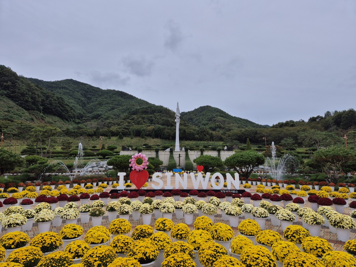 국화꽃 수놓은 가을, 거창사건추모공원에서 평화를 꽃피운다