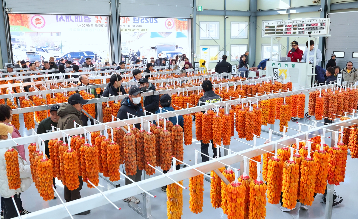 지리산 명품 함양곶감, 제20회 초매식 갖고 본격 출하