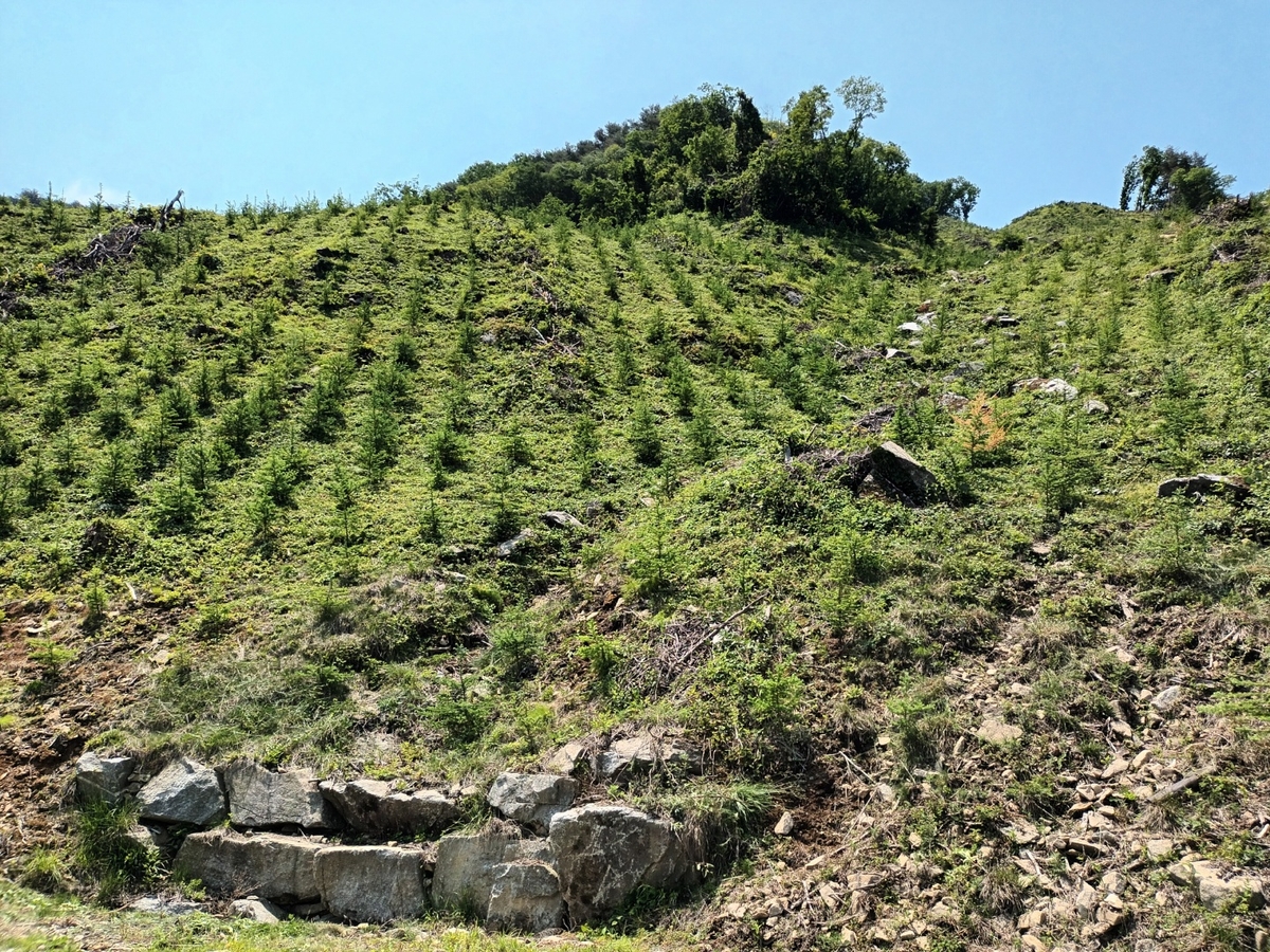 거창군, 2025년 경남도 산림자원분야 '최우수' 기관 선정