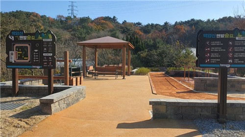 부산진구, 백양산 두 번째 맨발숲길 조성