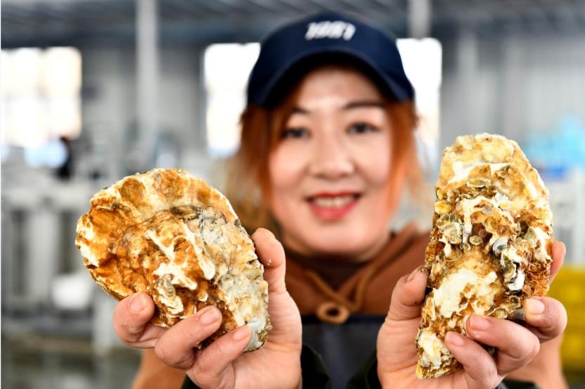 [AsiaNet] 루산, 굴 내음으로 관광객 발길 잡아