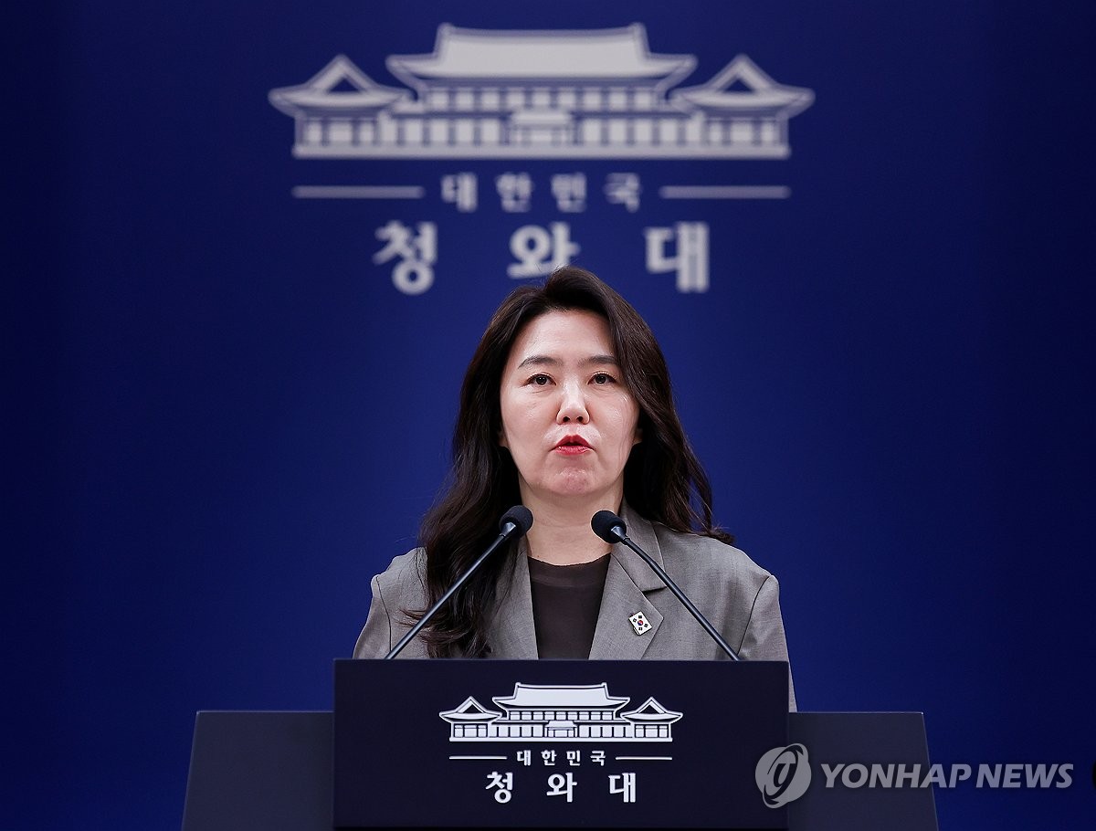 브리핑하는 강유정 수석대변인