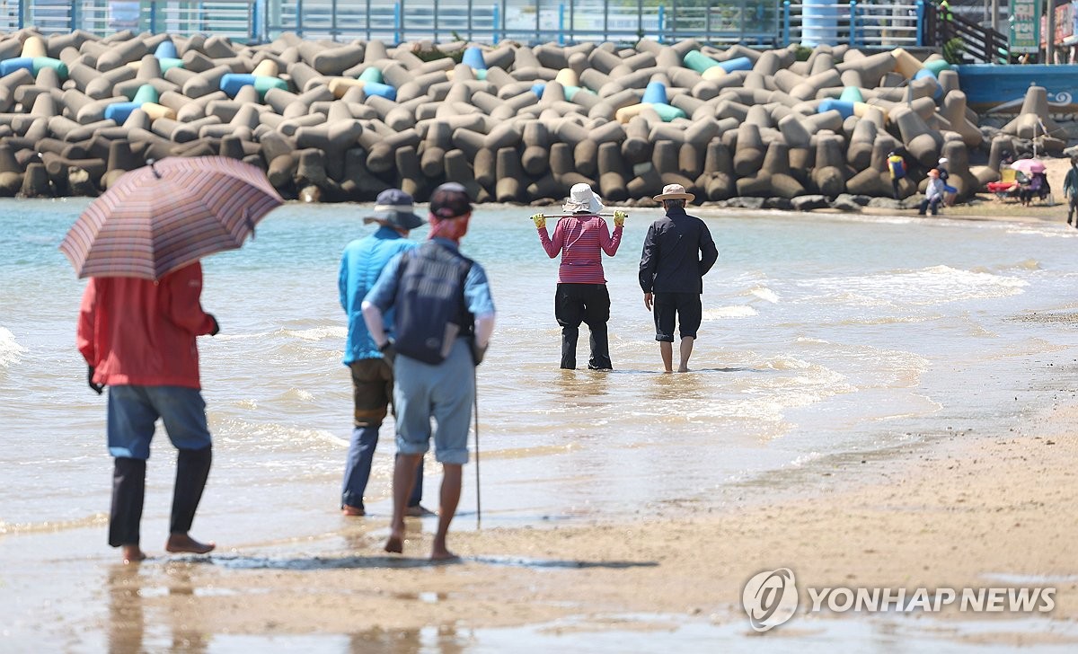 5월 무더위 맨발 산책