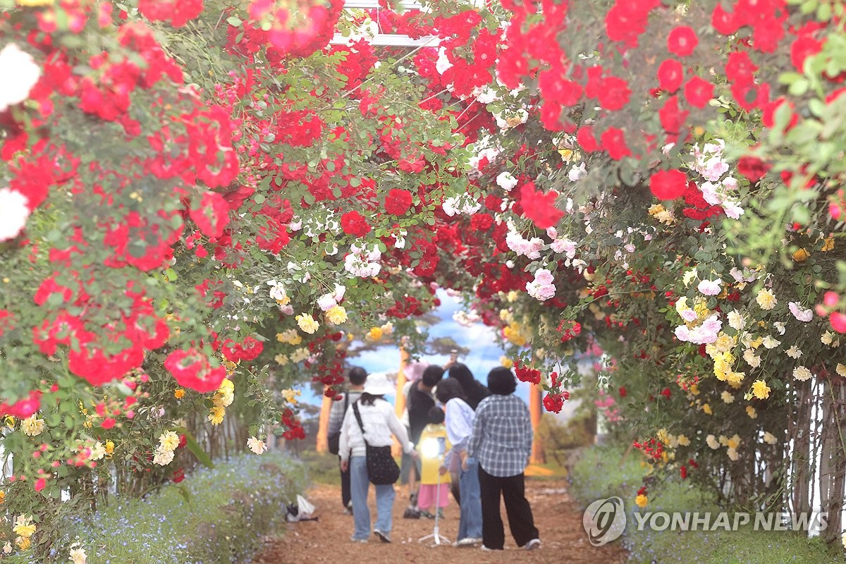 장미의 계절