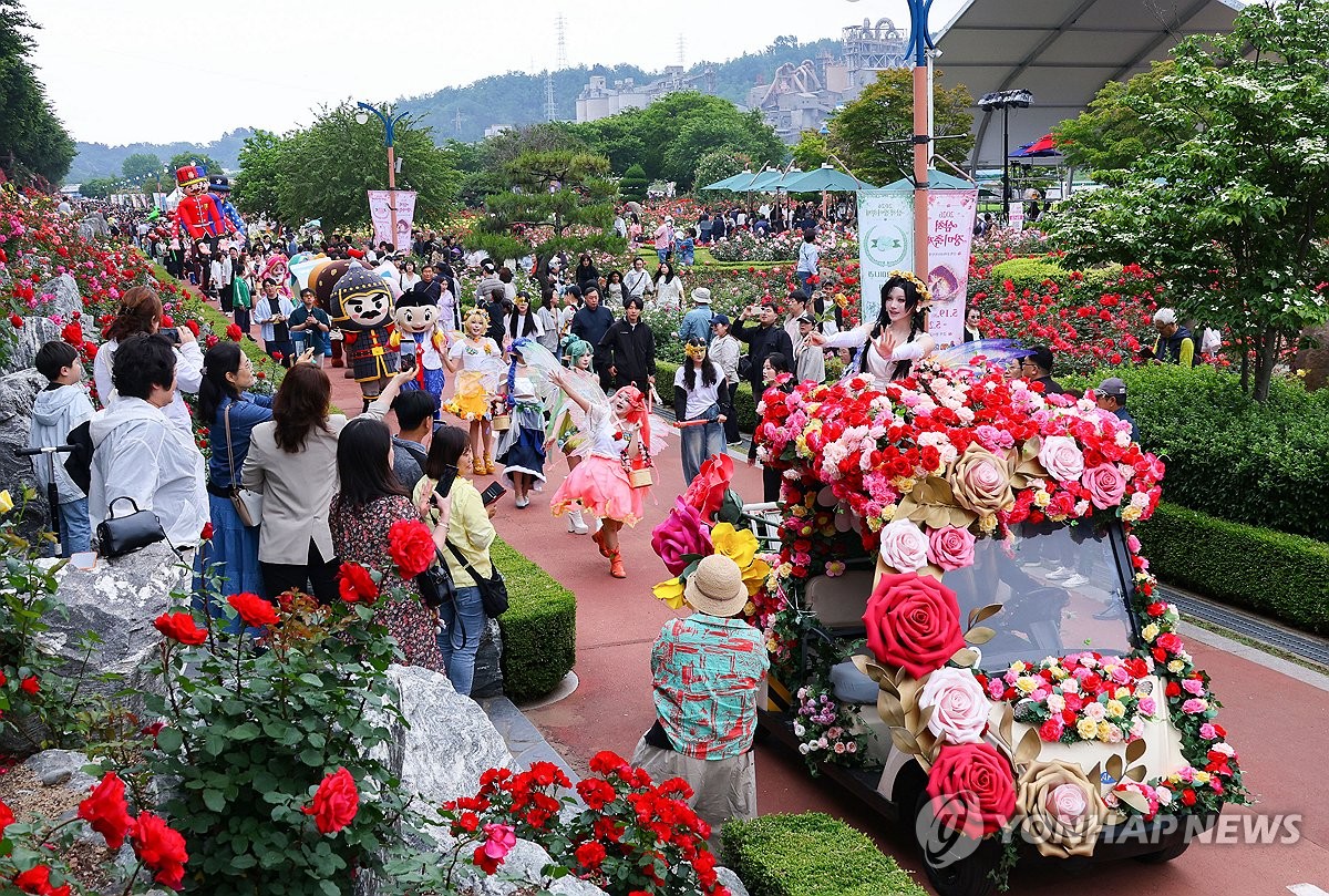 장미꽃길 걸어요…삼척 장미축제