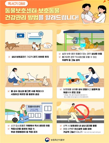 여름철 동물보호센터 동물 건강관리 안내문