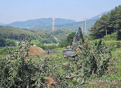 과수화상병으로 폐원 조치되는 과수 농가