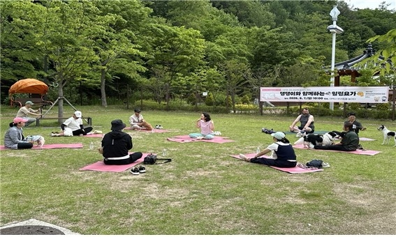 태백시 반려동물 문화행사