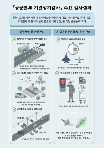 공군본부 정기감사 인포그래픽