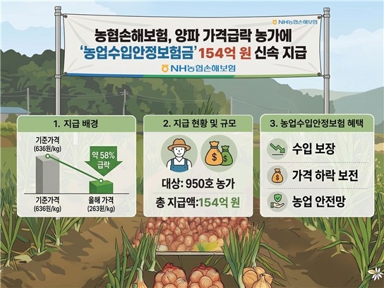 농협손보, 양파 폭락 피해농가에 수입안정보험금  