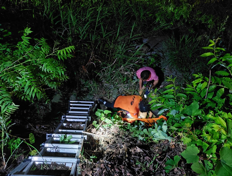정선 가리왕산 산책로서 추락한 70대 구조하는 소방대원