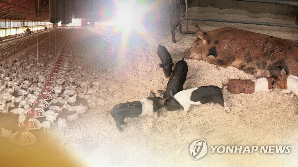 가축 폭염 피해