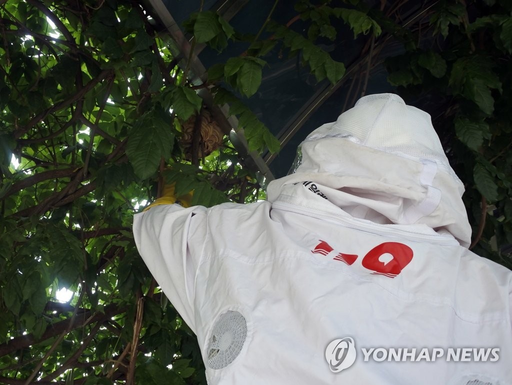 벌집 제거하는 소방관