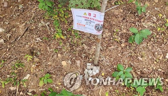 광견병 미끼 예방약