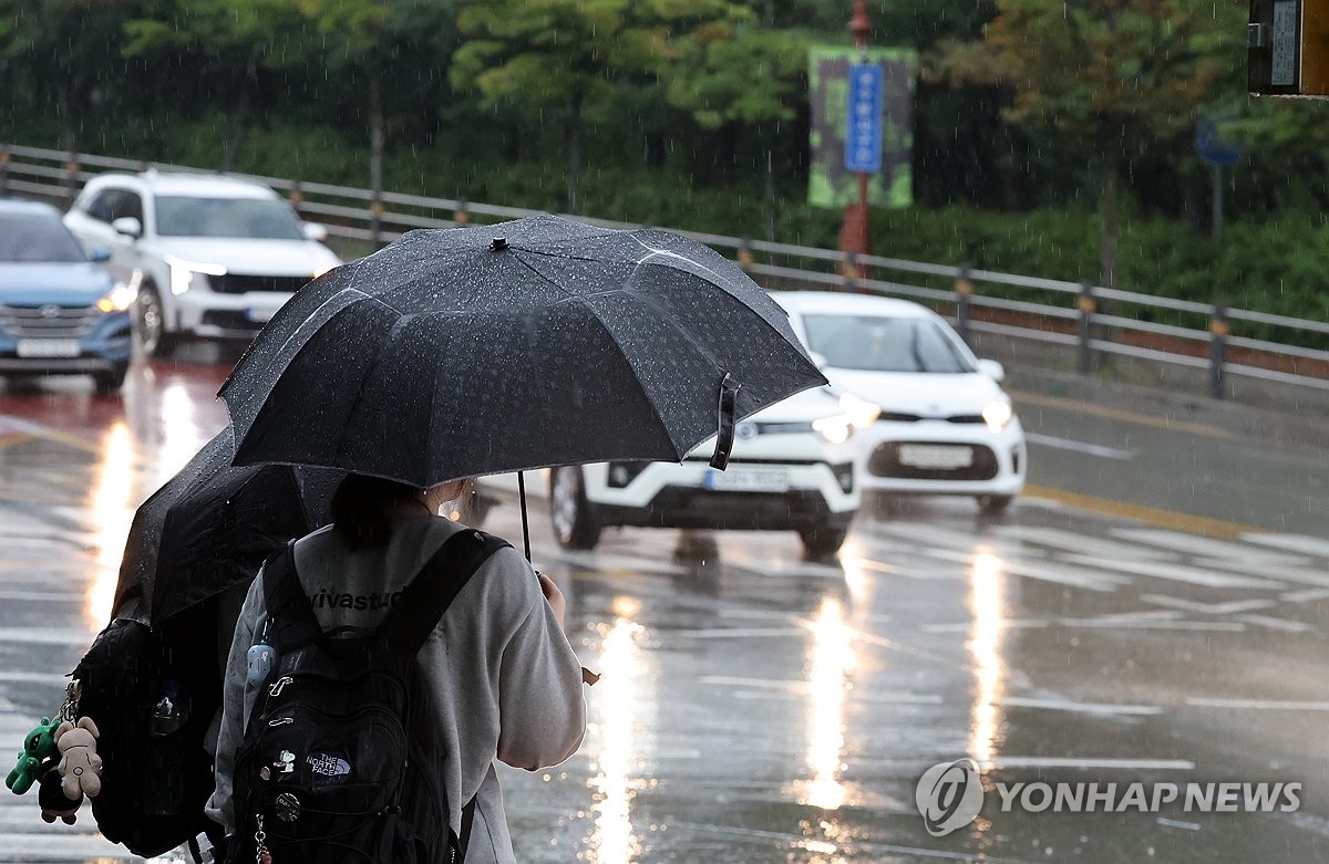 비 내리는 강원