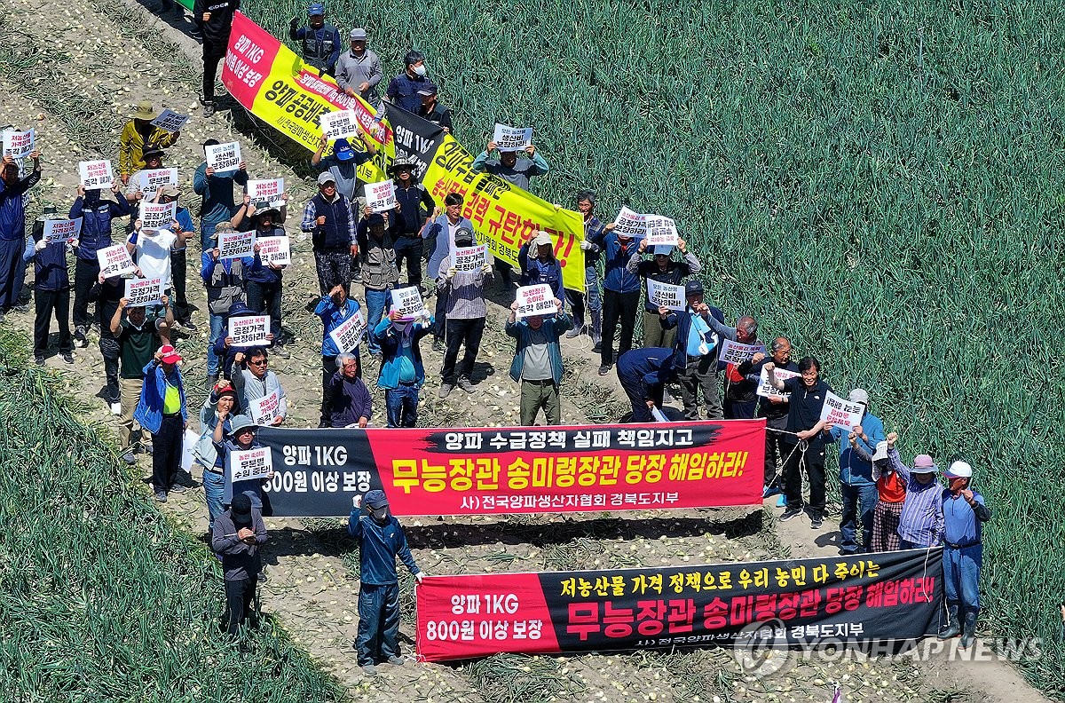 양파밭 갈아엎기 투쟁 '양파 최저생산비 보장하라'