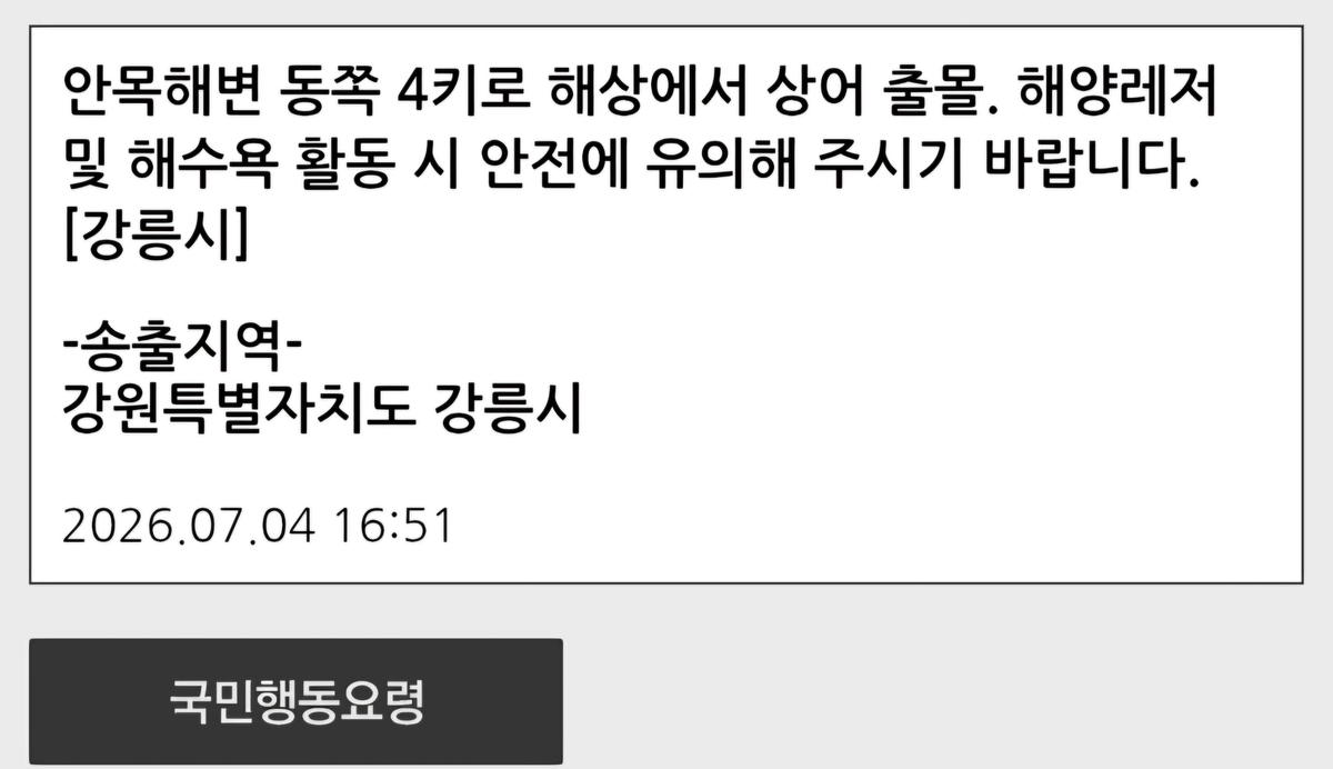 '상어 출몰' 재난문자 발송