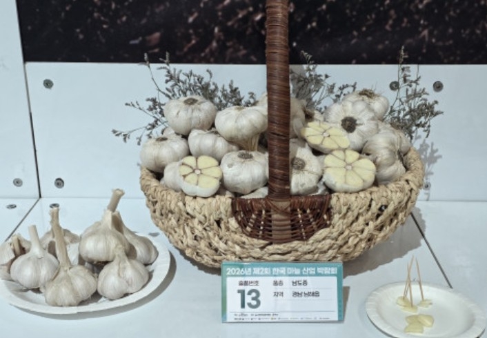 마늘 품평회