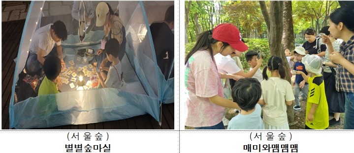 서울숲에서 진행하는 별별숲마실·매미와맴맴맴 프로그램 사진