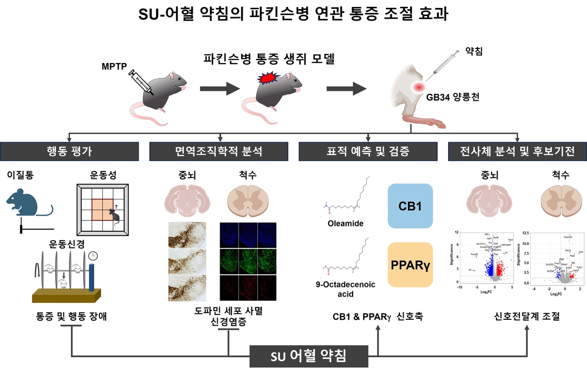 연구 이미지