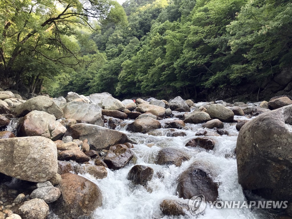 남원 계곡