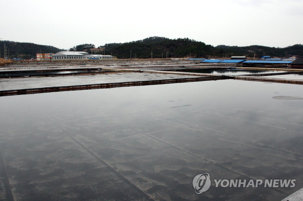 '염전노예' 사건이 일어난 전남 신안군의 한 염전 모습
