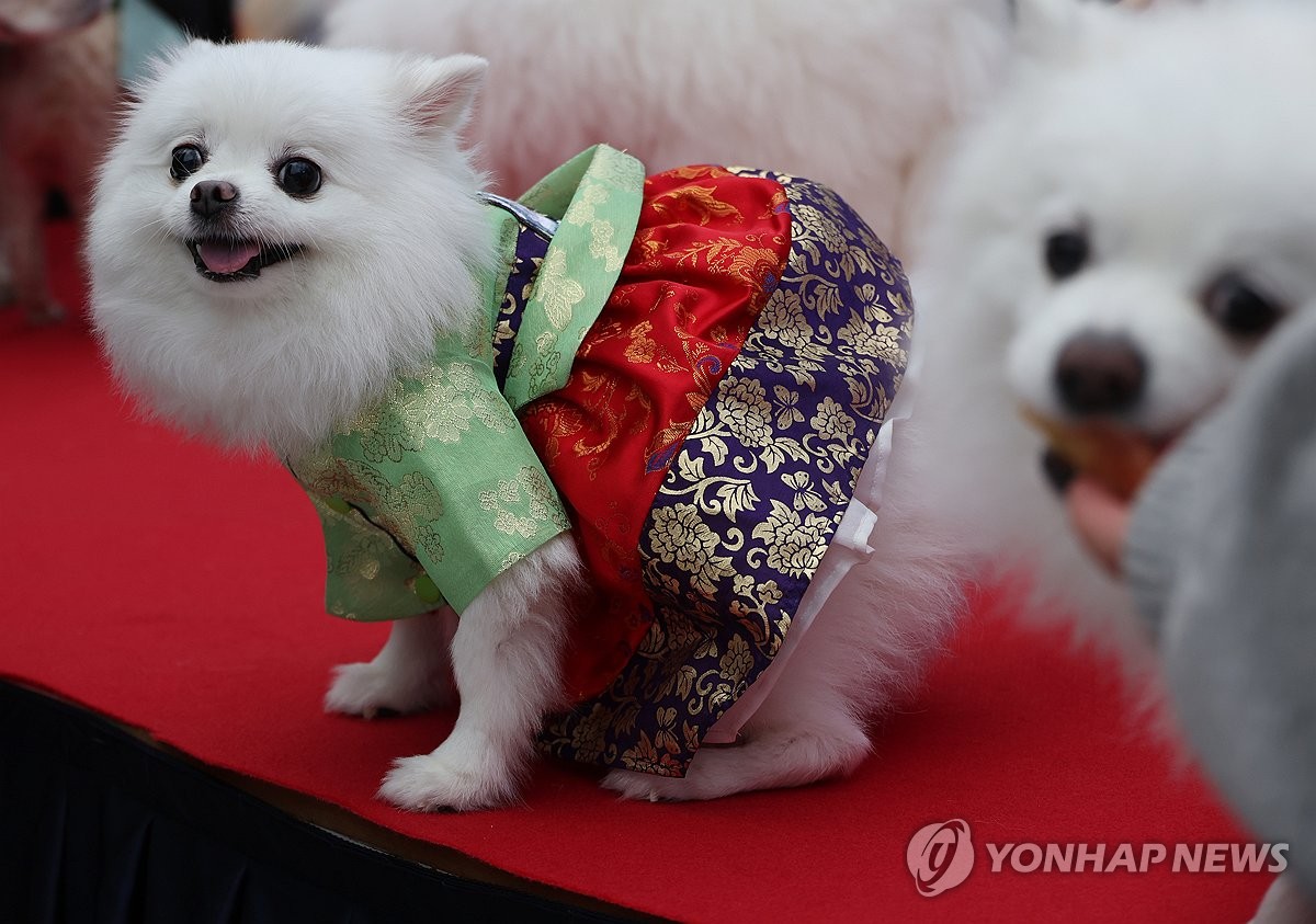 ‘제 한복 패션 어때요?’