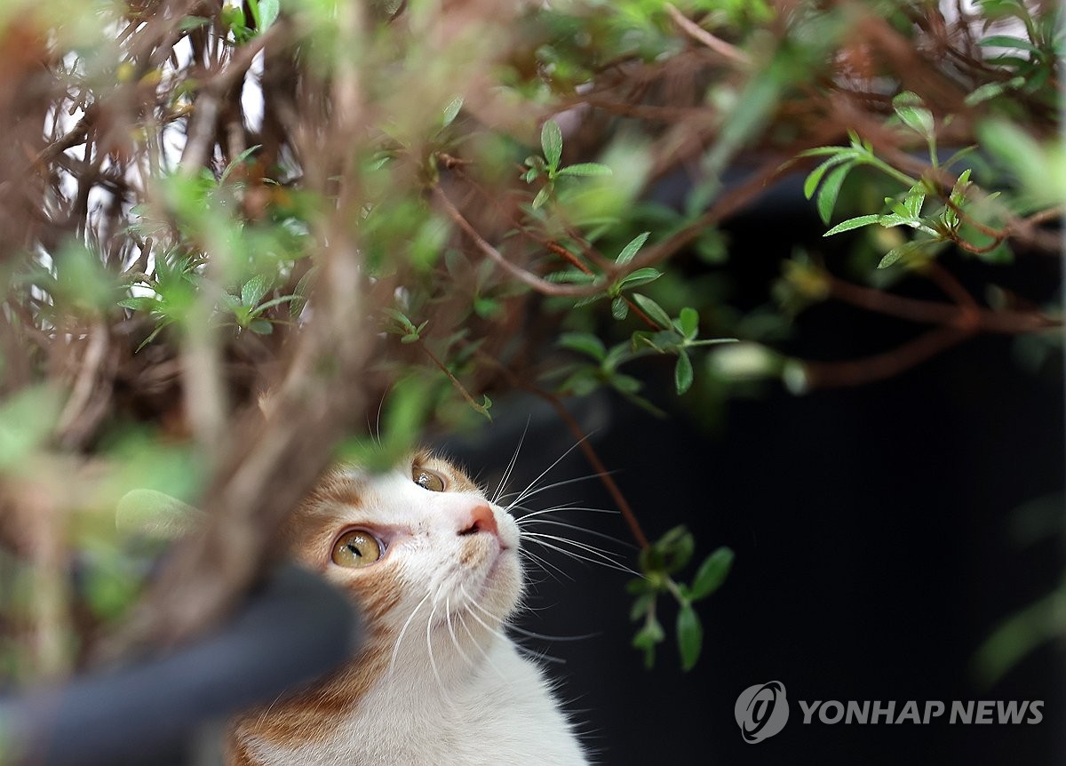 너도 봄이 오는걸 느끼니?