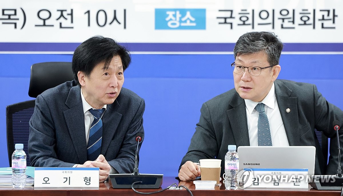더불어민주당 '코리아 프리미엄 K-자본시장 특별위원회'