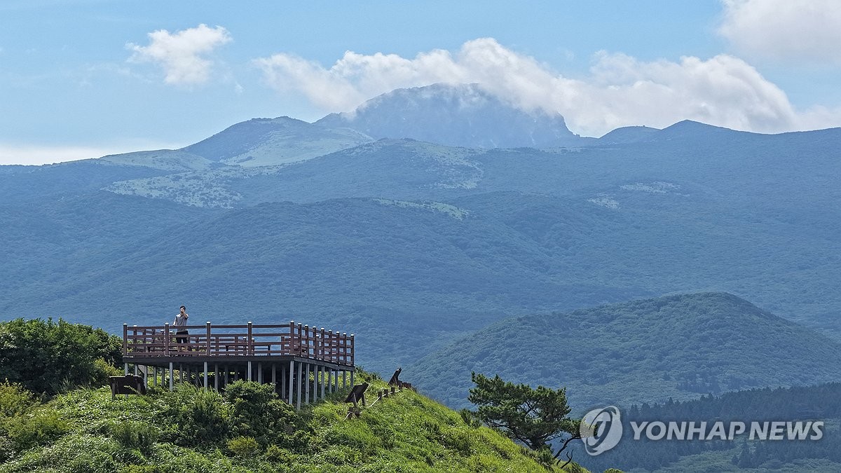 노꼬메오름의 여름