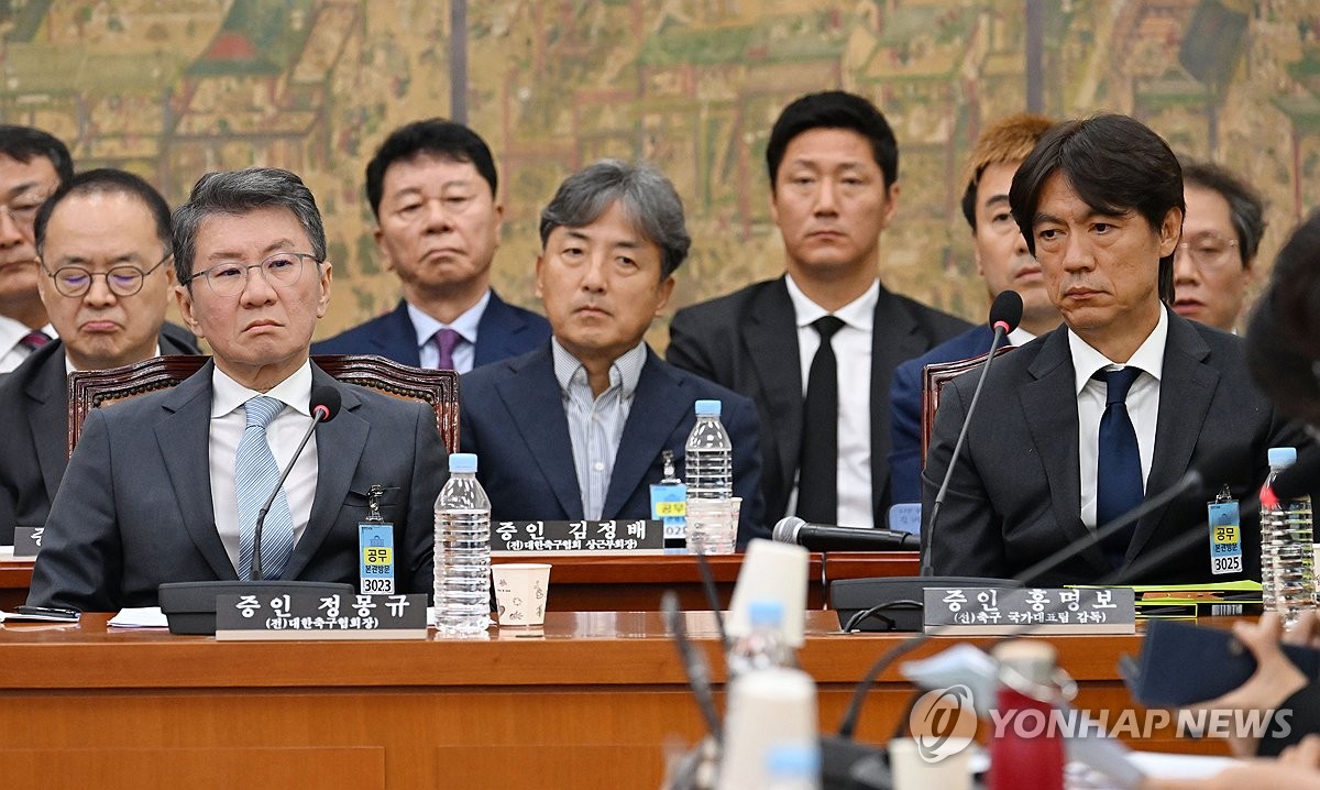 축구협회 청문회 나온 정몽규-홍명보