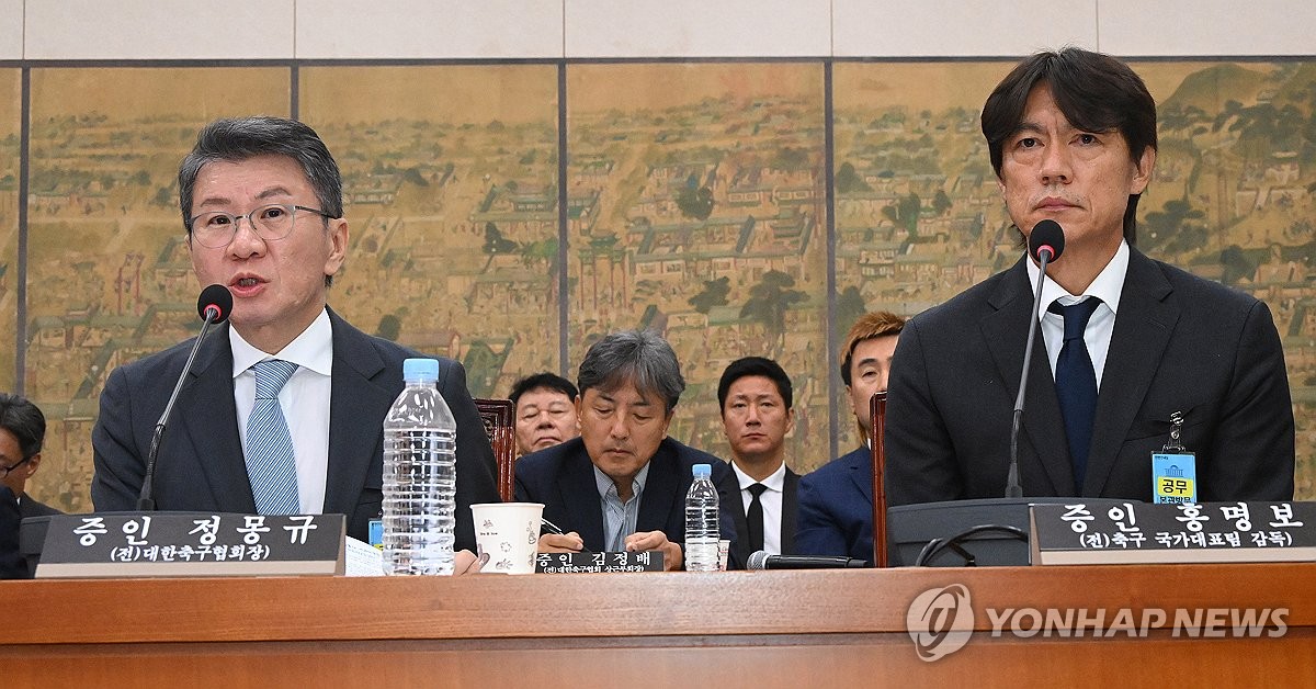 청문회 출석해 답변하는 정몽규 전 대한축구협회장