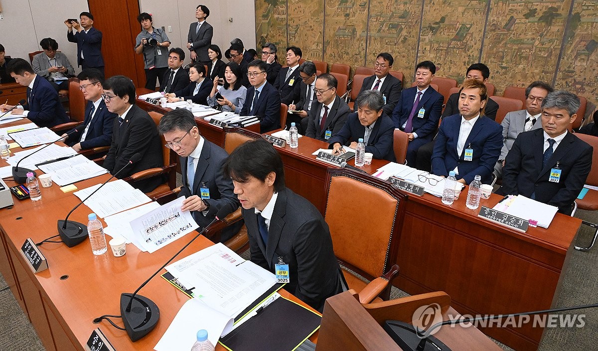국회 문체위에서 열린 대한축구협회 청문회