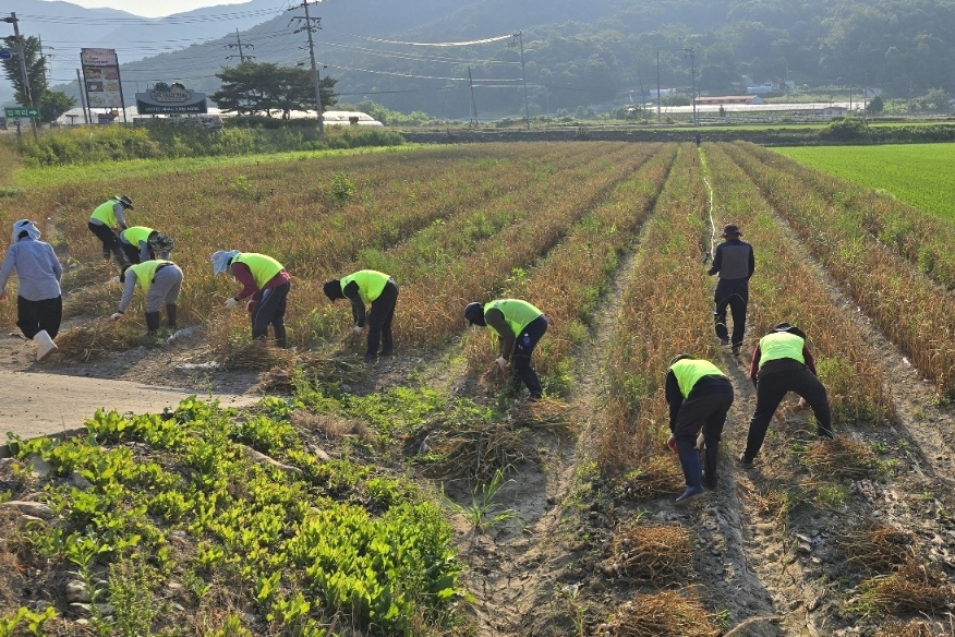 보은군, 외국인 계절근로자 농촌 일손 해결 '큰 힘'…11월까지 연장 운영