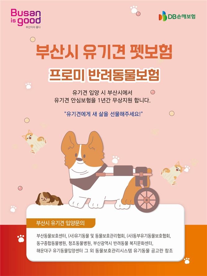 부산시 유기견 펫 보험