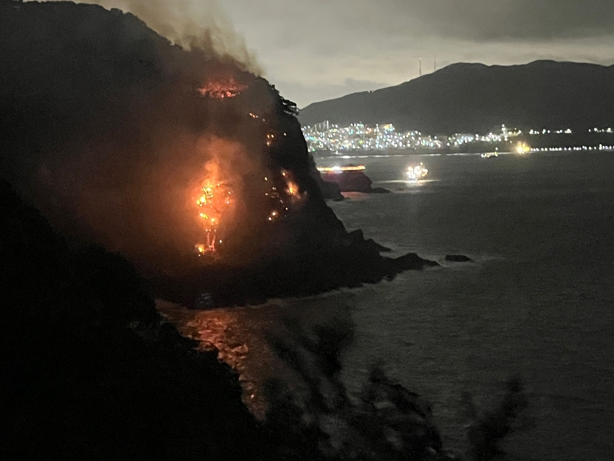 암남공원 해안절벽서 산불