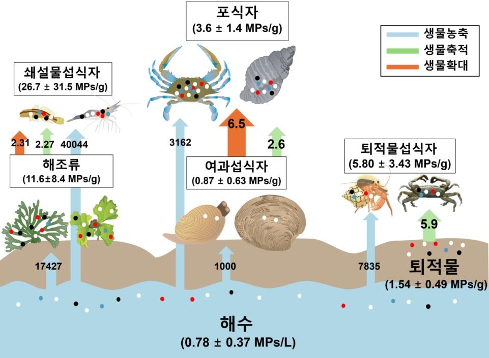 미세플라스틱의 이동과 축적 경로 