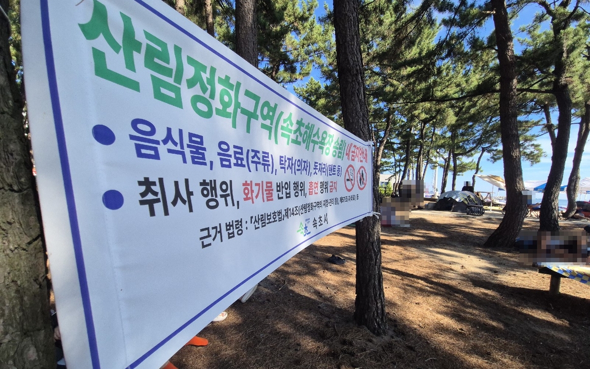 속초 해수욕장 송림 곳곳에 펼쳐있는 돗자리와 텐트
