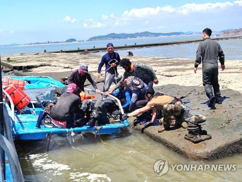 비상탈출한 공군 전투기 조종사를 구조하는 스리랑카 근로자들