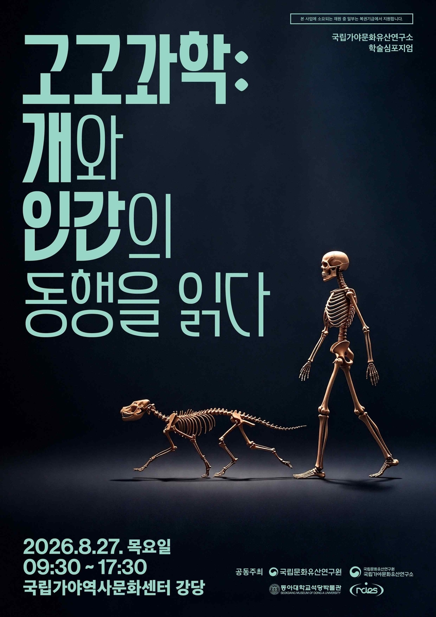 행사 안내 