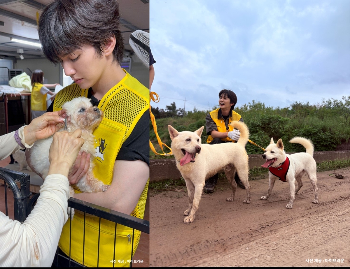 마이브라운 봉사단과 유기동물 보호소를 찾은 배우 유승호
