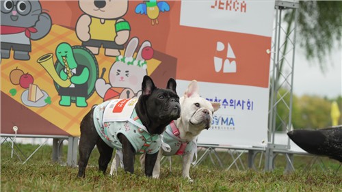 2025년 진행된 서울동물행복페스타