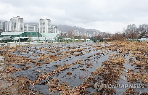 수도권 한 농지 너머로 보이는 아파트 단지