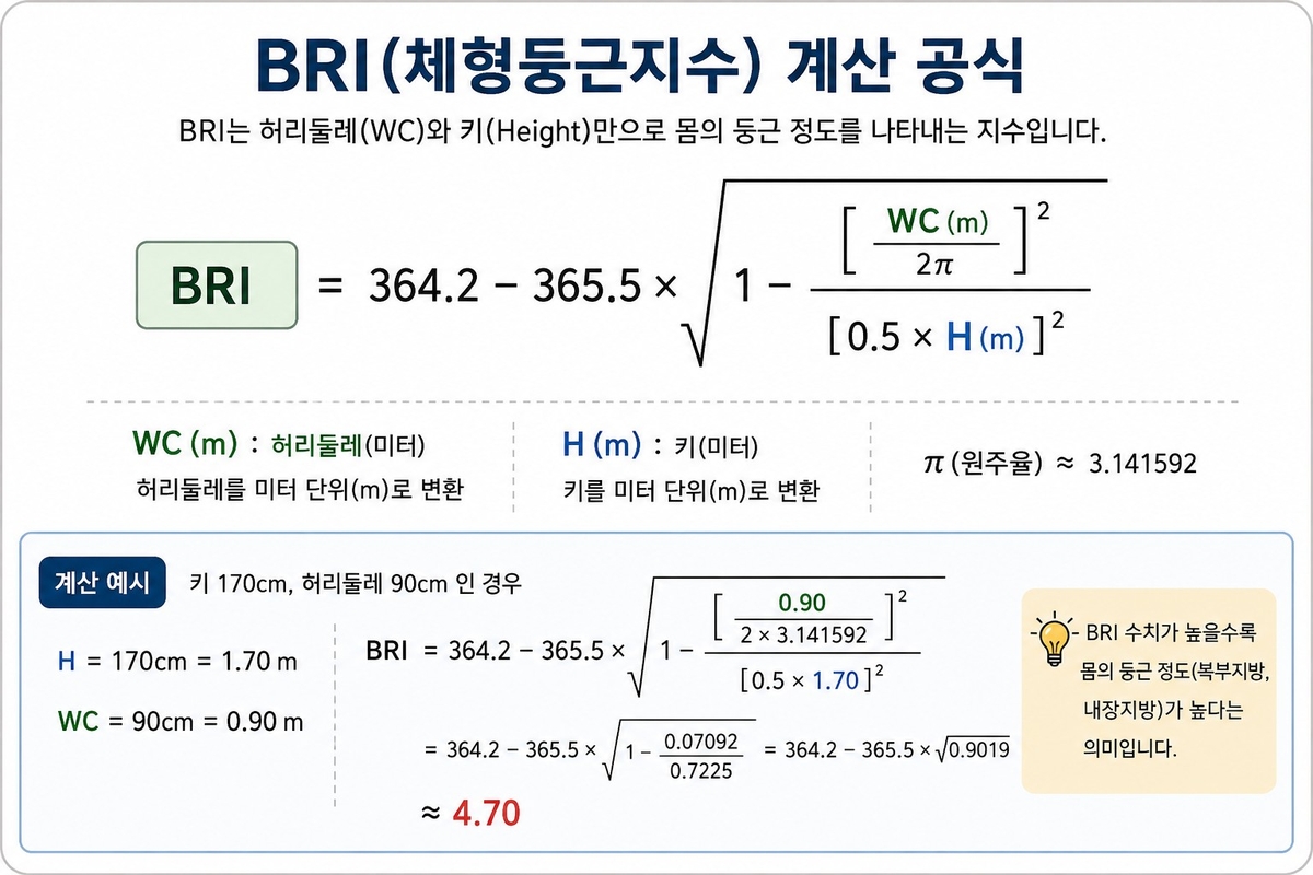 체형둥글기지수