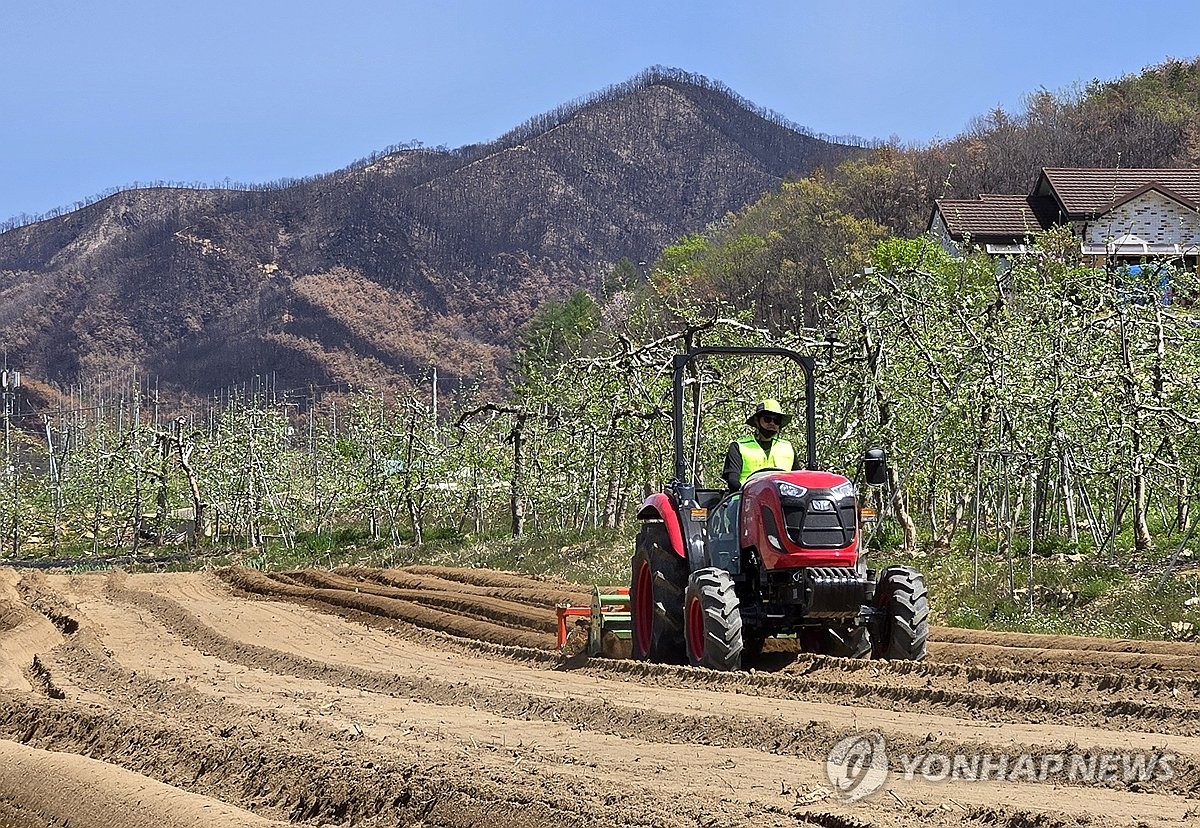 청송 산불 피해지