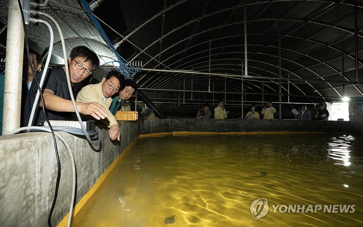 해수부, 경북 포항 강도다리 양식어가 점검