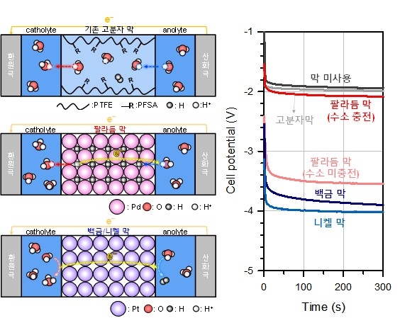 연구 모식도