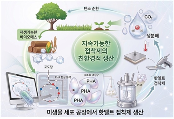 연구 요약 모식도